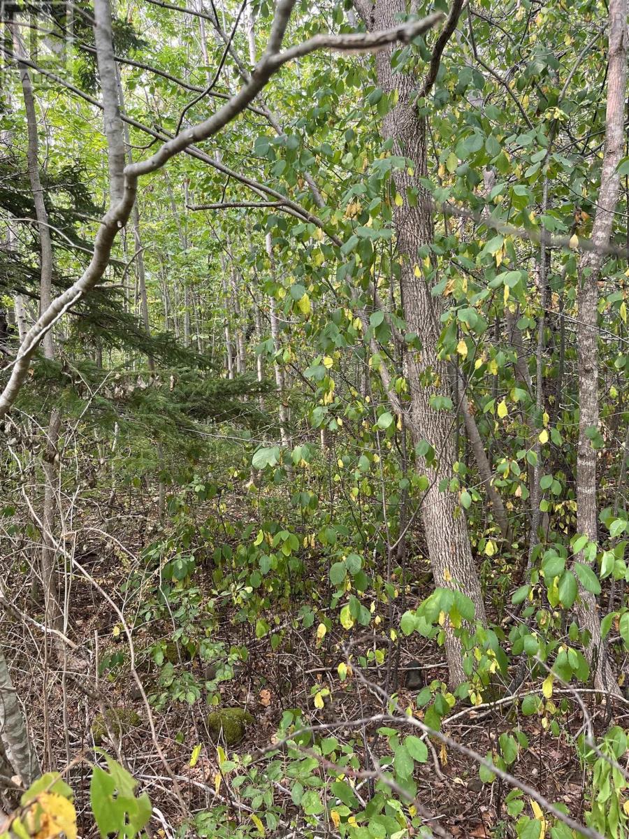 Lot 5 Granville Road, Karsdale, Nova Scotia  B0S 1A0 - Photo 12 - 202522684