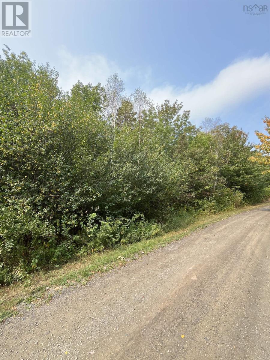 Lot 5 Granville Road, Karsdale, Nova Scotia  B0S 1A0 - Photo 16 - 202522684