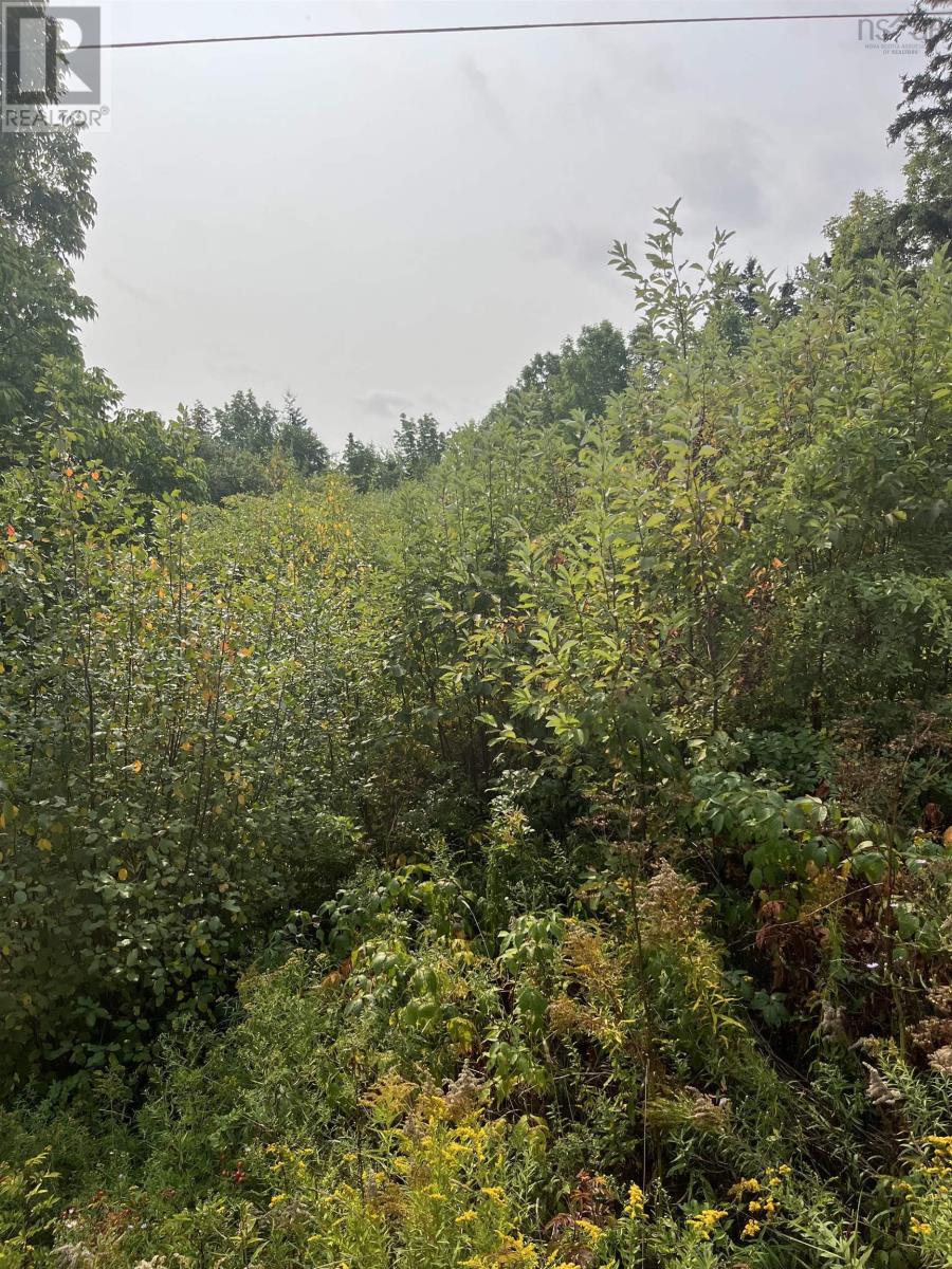 Lot 5 Granville Road, Karsdale, Nova Scotia  B0S 1A0 - Photo 3 - 202522684
