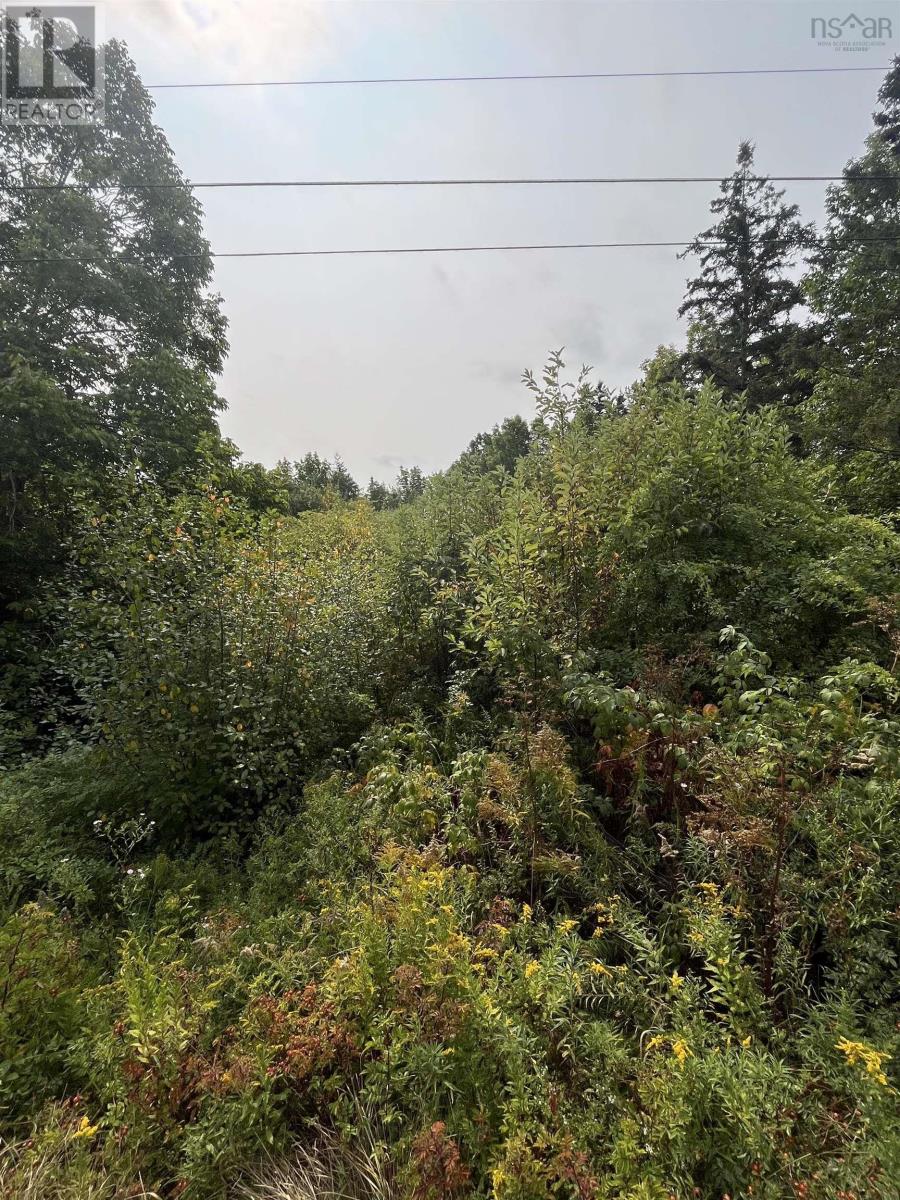 Lot 5 Granville Road, Karsdale, Nova Scotia  B0S 1A0 - Photo 4 - 202522684