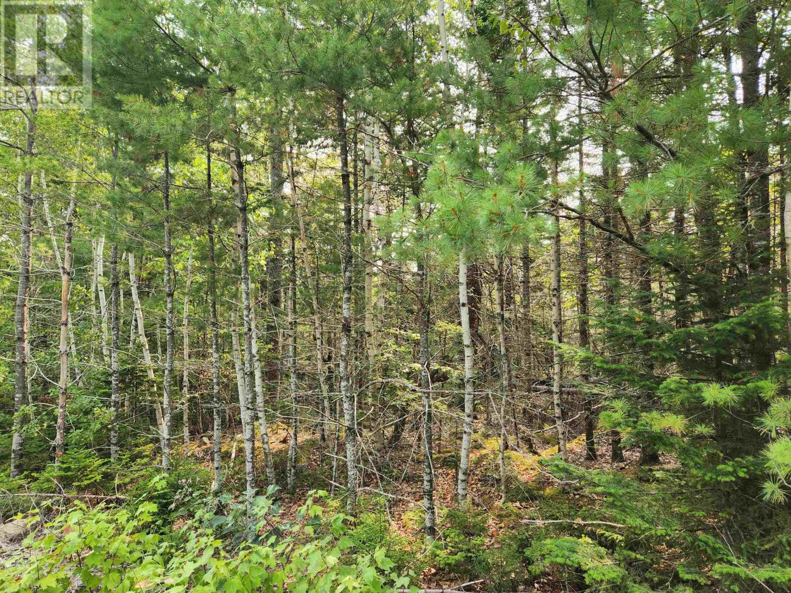 Lot 70 Turner Point Crossover, Walden, Nova Scotia  B0J 2E0 - Photo 3 - 202522698