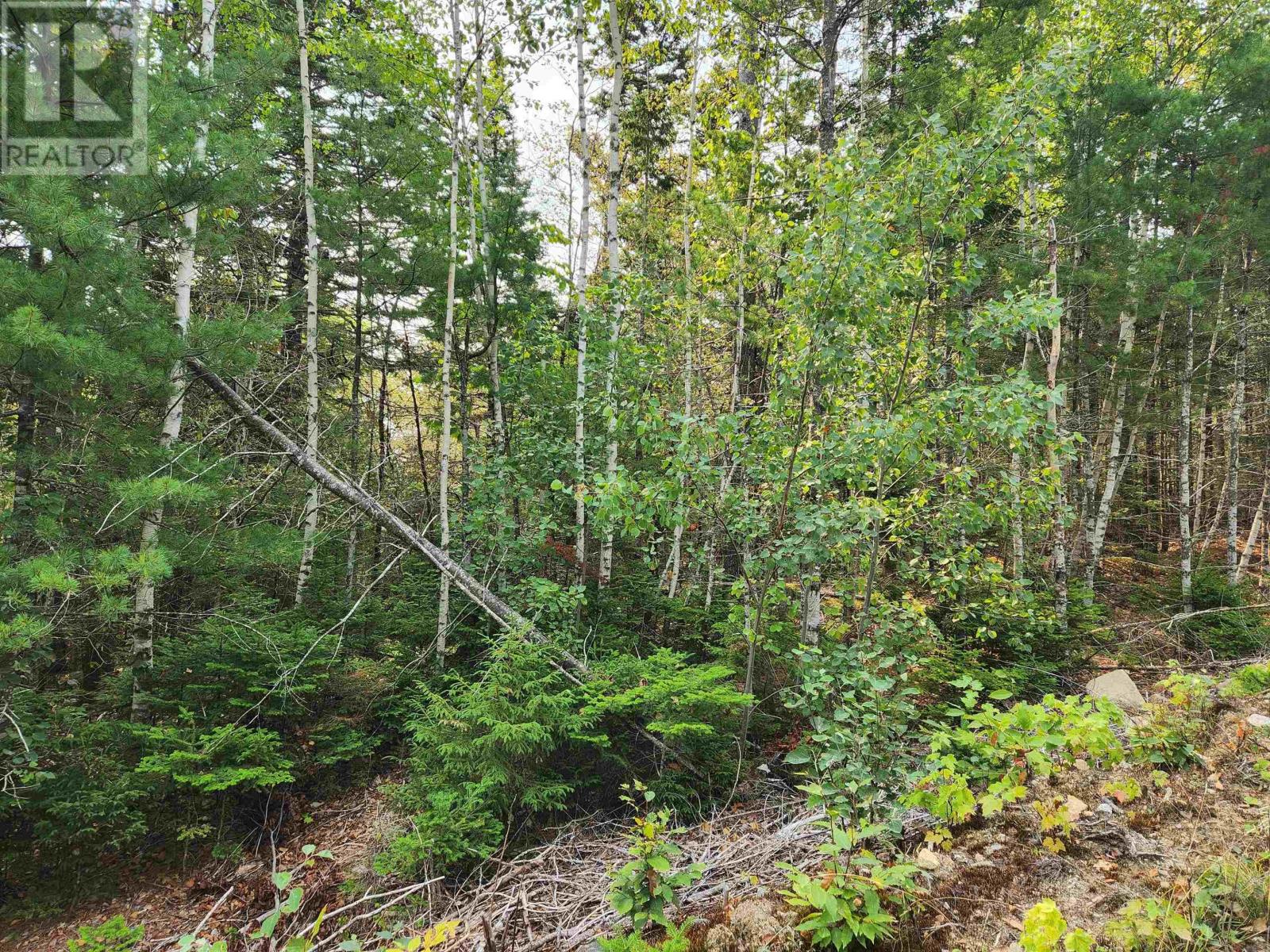 Lot 70 Turner Point Crossover, Walden, Nova Scotia  B0J 2E0 - Photo 4 - 202522698