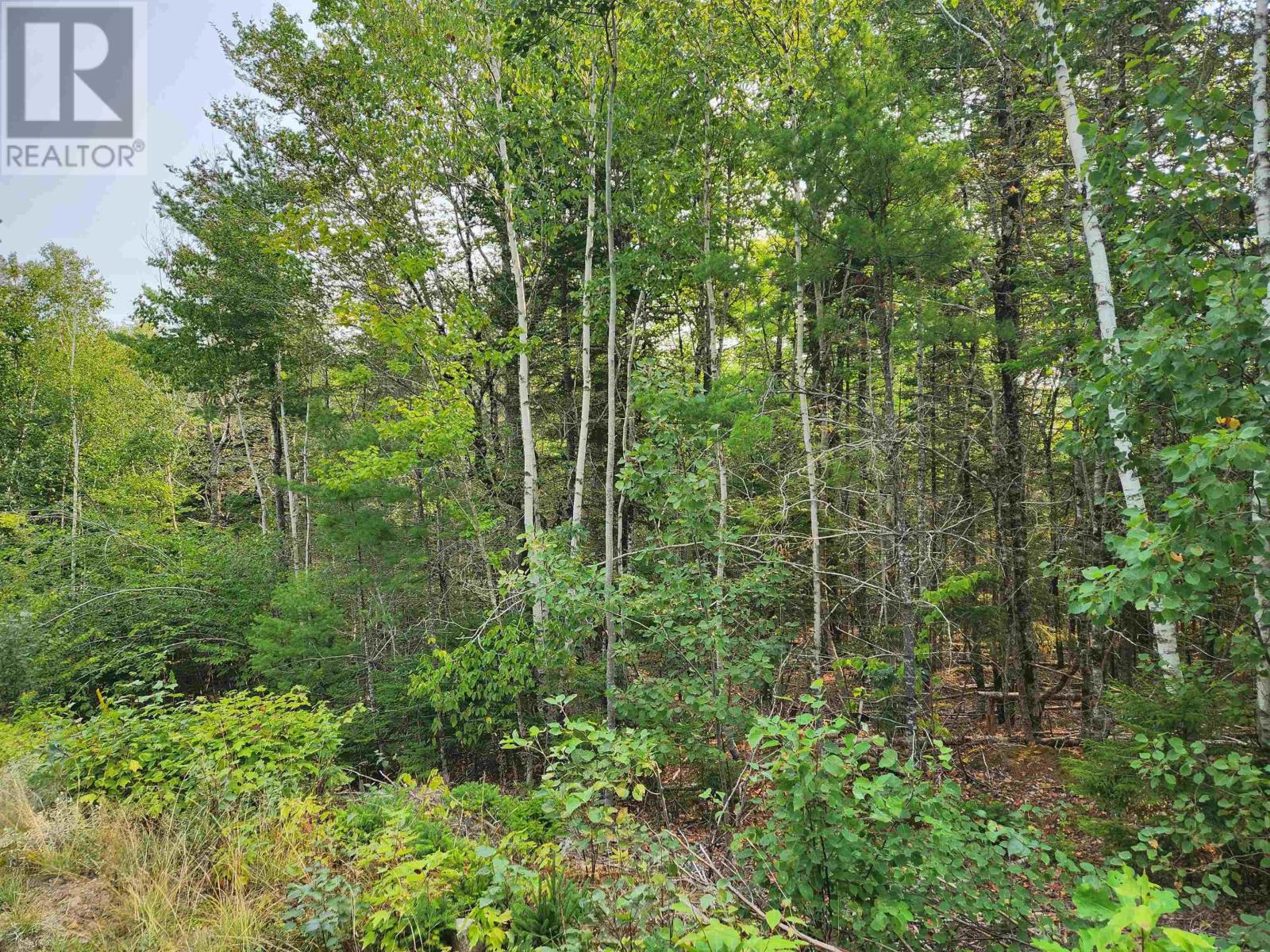 Lot 70 Turner Point Crossover, Walden, Nova Scotia  B0J 2E0 - Photo 6 - 202522698