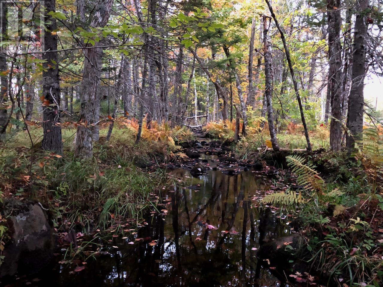1269 Hampton Mountain Road, Hampton, Nova Scotia  B0S 1L0 - Photo 12 - 202522760