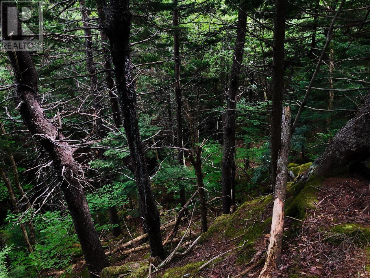 1269 Hampton Mountain Road, Hampton, Nova Scotia  B0S 1L0 - Photo 14 - 202522760