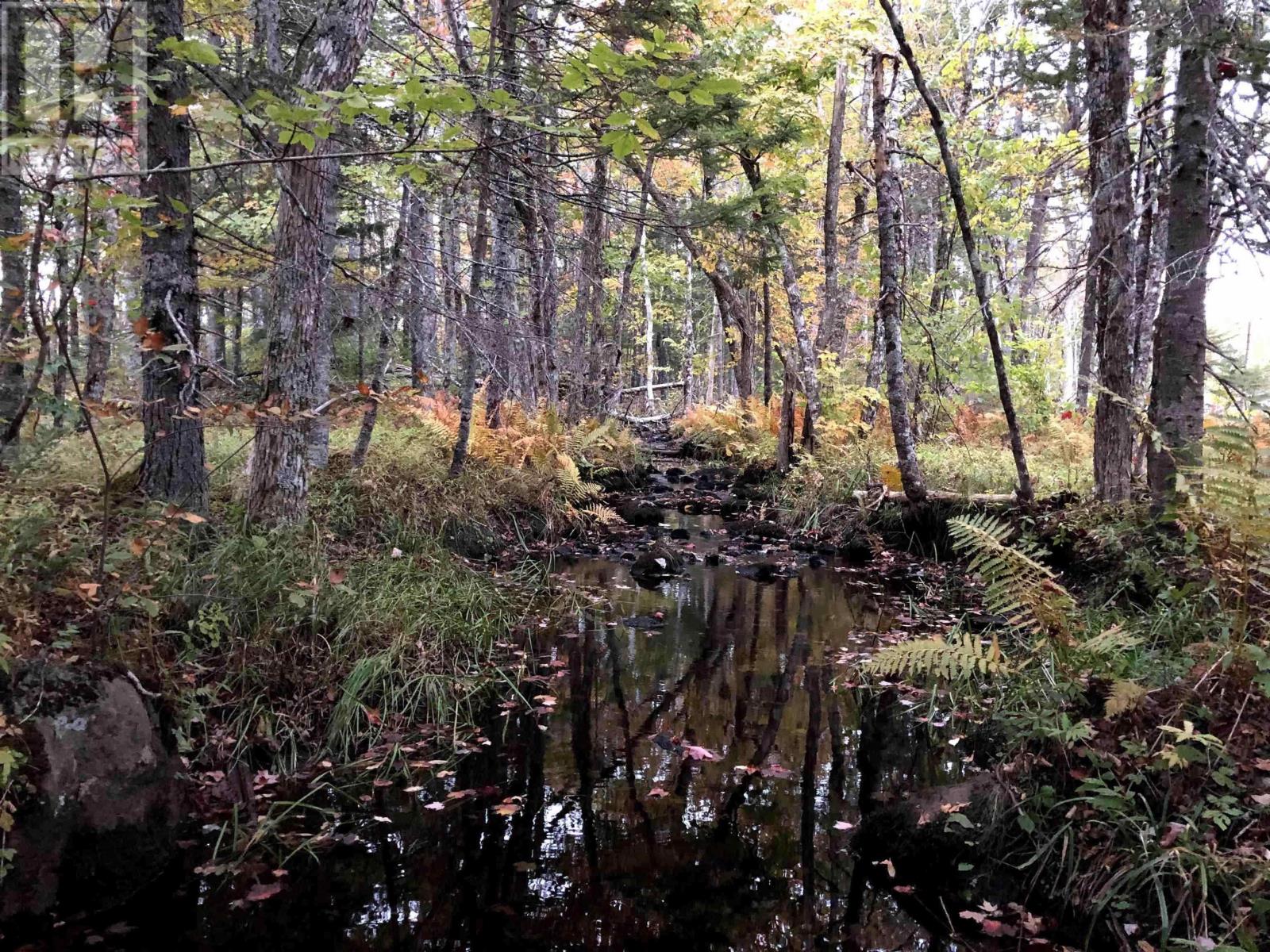 1269 Hampton Mountain Road, Hampton, Nova Scotia  B0S 1L0 - Photo 13 - 202522762