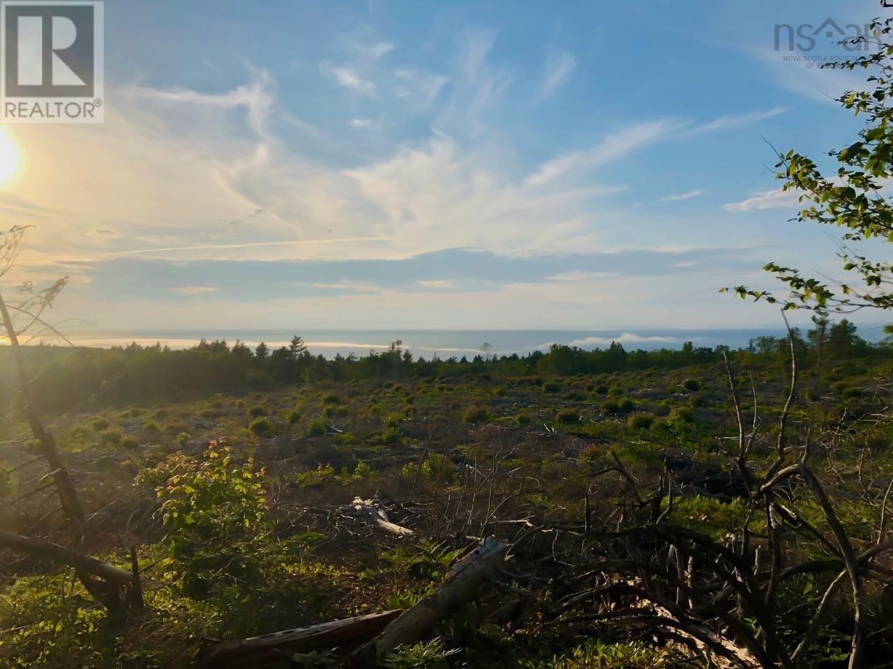 1269 Hampton Mountain Road, Hampton, Nova Scotia  B0S 1L0 - Photo 18 - 202522762