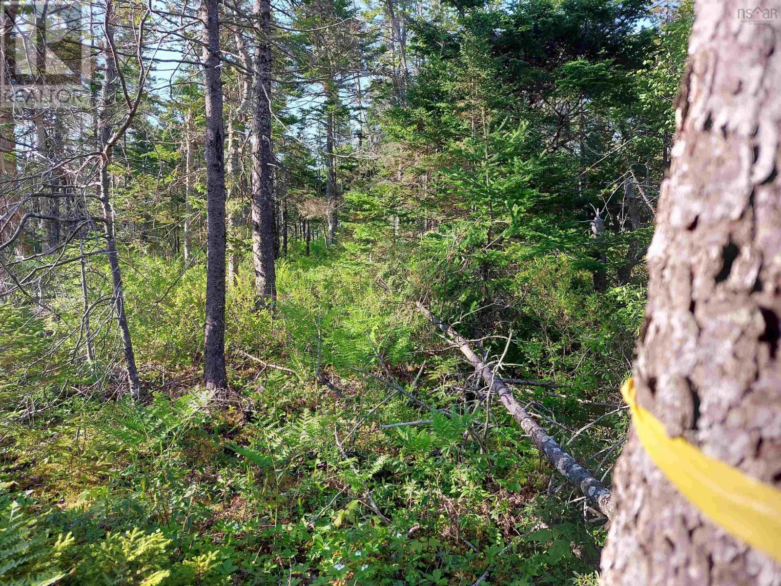 Lot B1 Katja Rose Dr, Hay Cove, Nova Scotia  B0E 3B0 - Photo 9 - 202522841