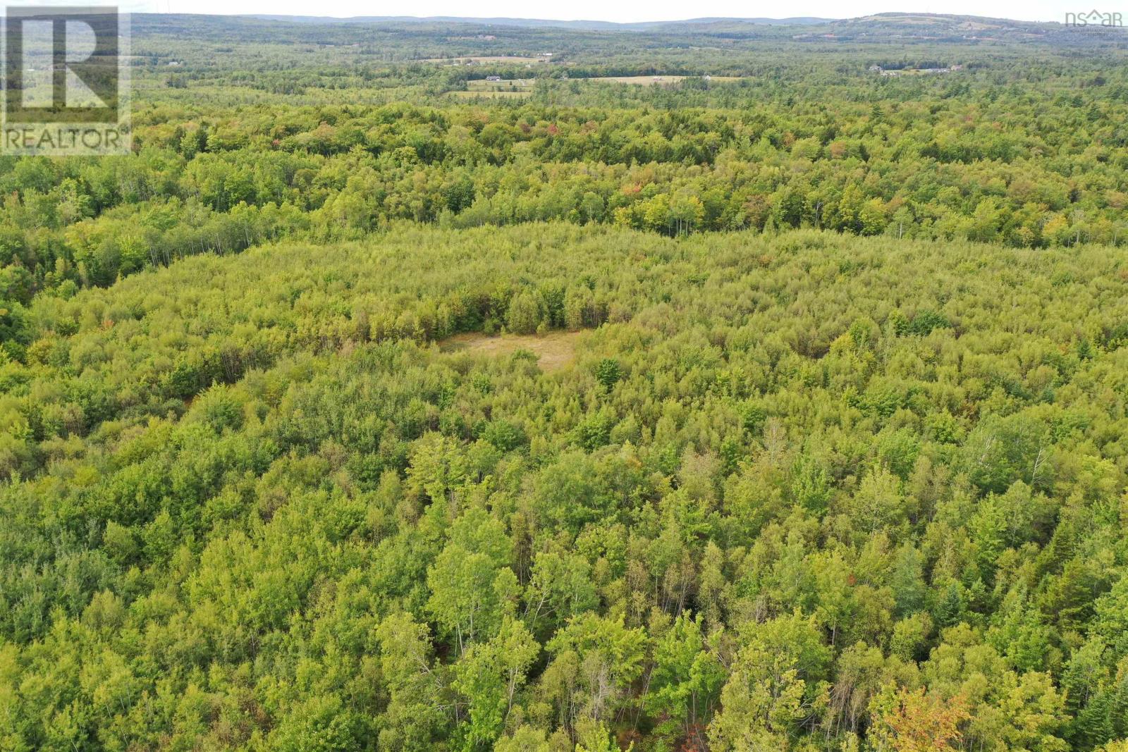 Lot 19 Acres Wallace Road, Hazel Glen, Nova Scotia  B0K 2A0 - Photo 13 - 202522846