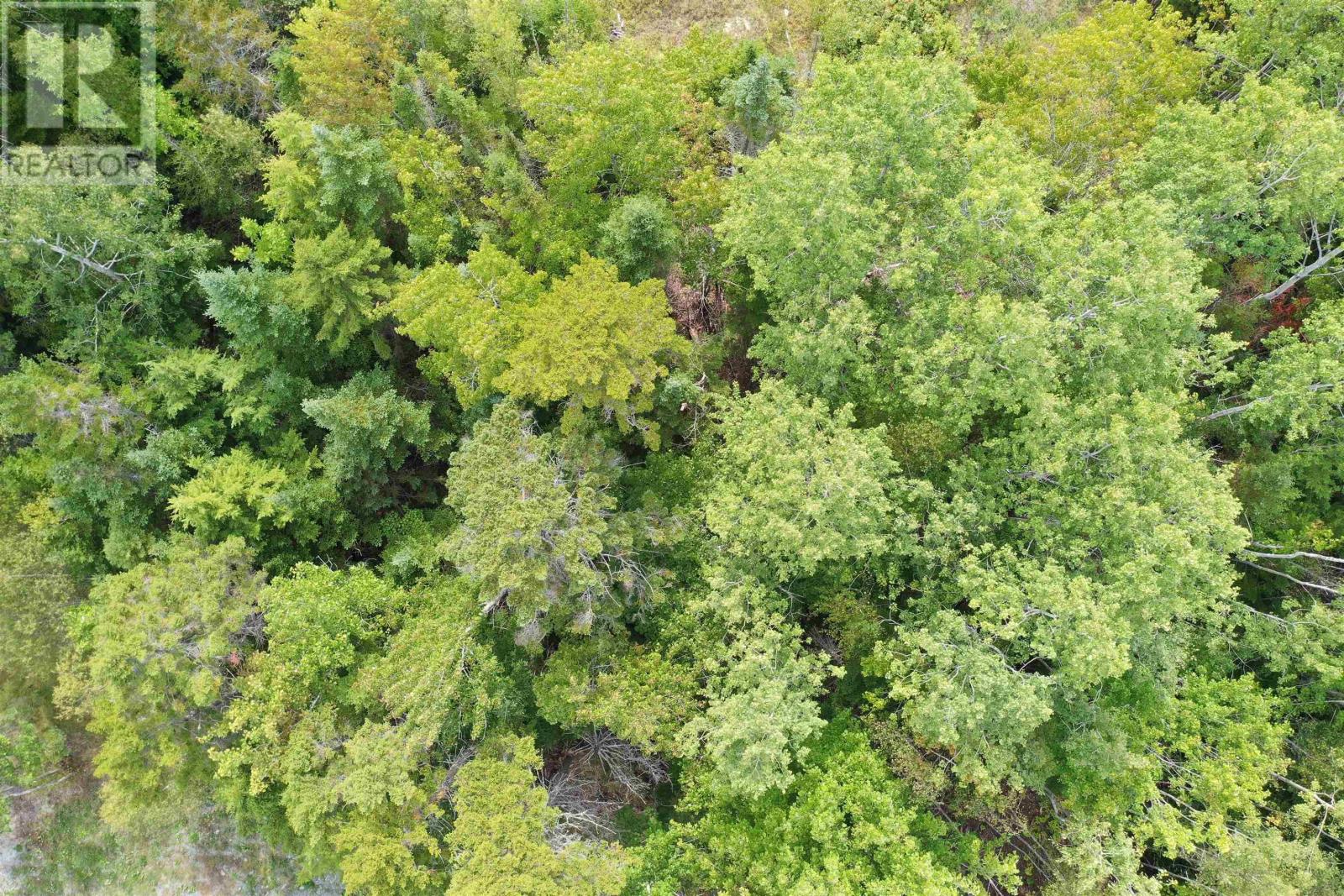 Lot 19 Acres Wallace Road, Hazel Glen, Nova Scotia  B0K 2A0 - Photo 18 - 202522846