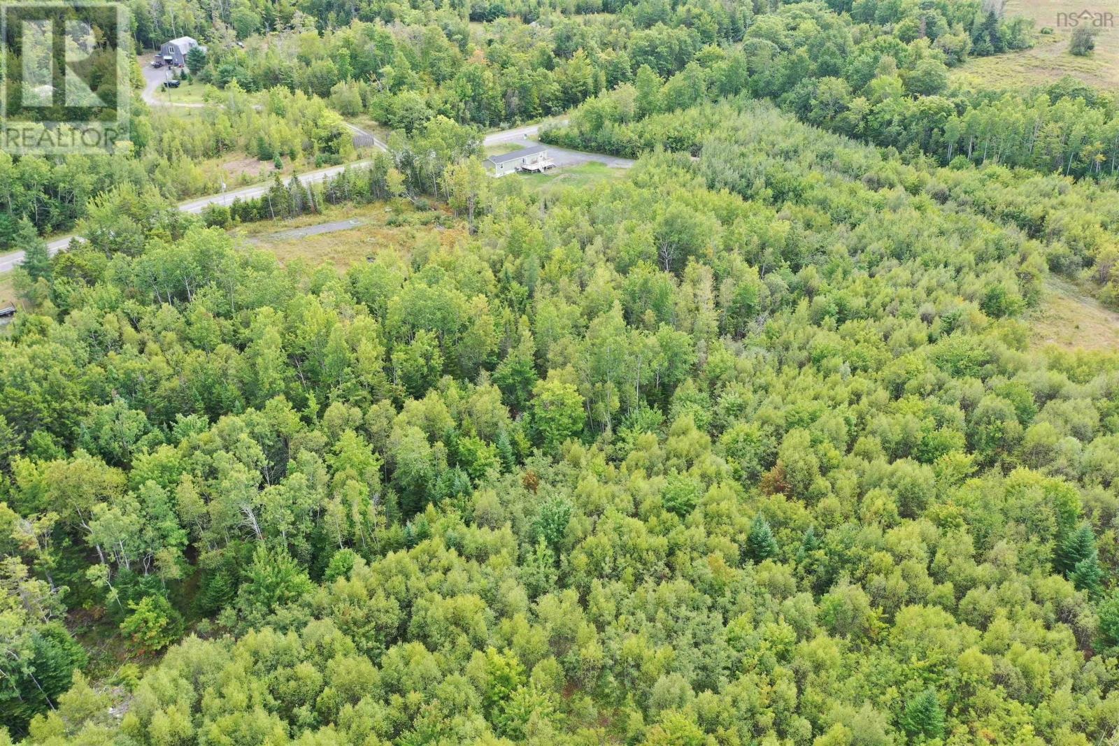 Lot 19 Acres Wallace Road, Hazel Glen, Nova Scotia  B0K 2A0 - Photo 19 - 202522846