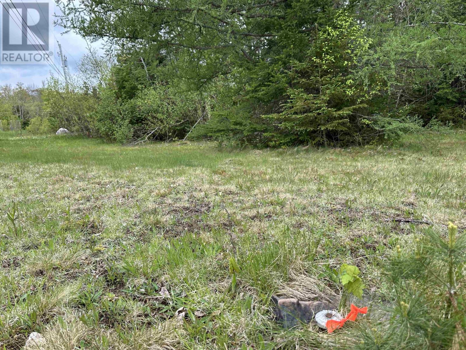 Lot 19 Acres Wallace Road, Hazel Glen, Nova Scotia  B0K 2A0 - Photo 8 - 202522846