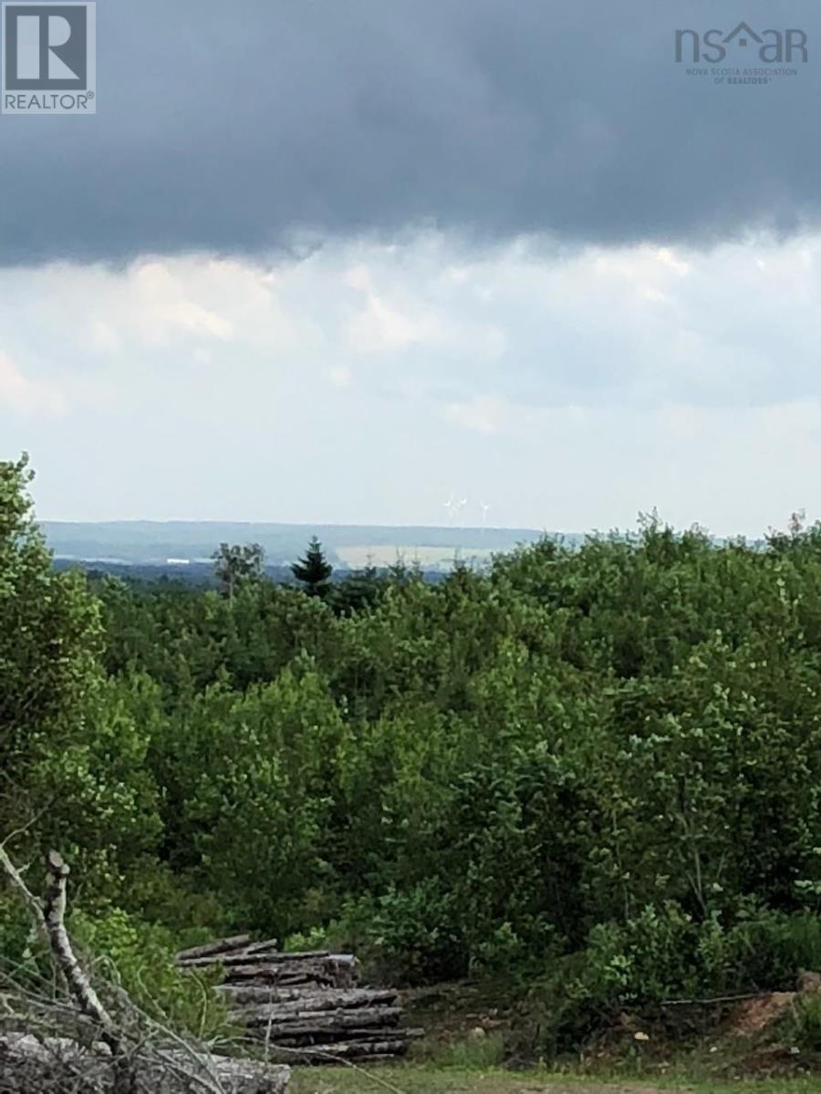 Belmont, Belmont, Nova Scotia  B0M 1C0 - Photo 3 - 202522905