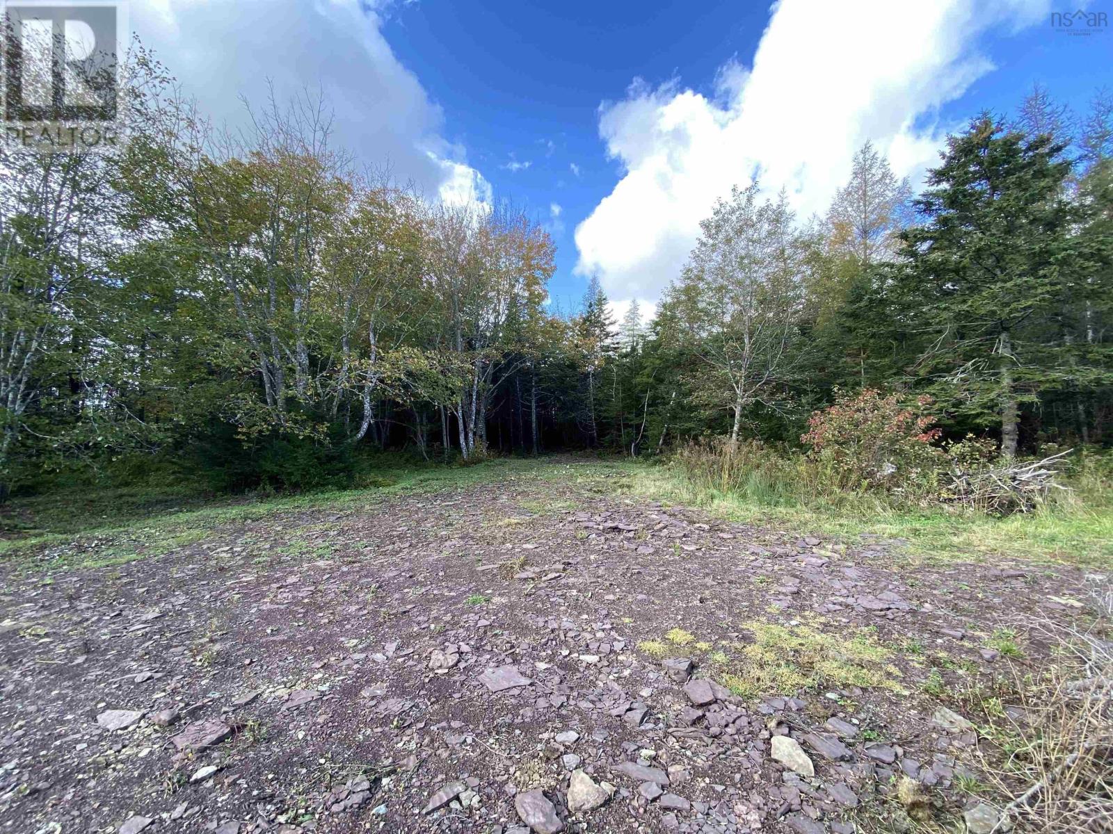 Lot Highway 320, Louisdale, Nova Scotia  B0E 1V0 - Photo 3 - 202523059