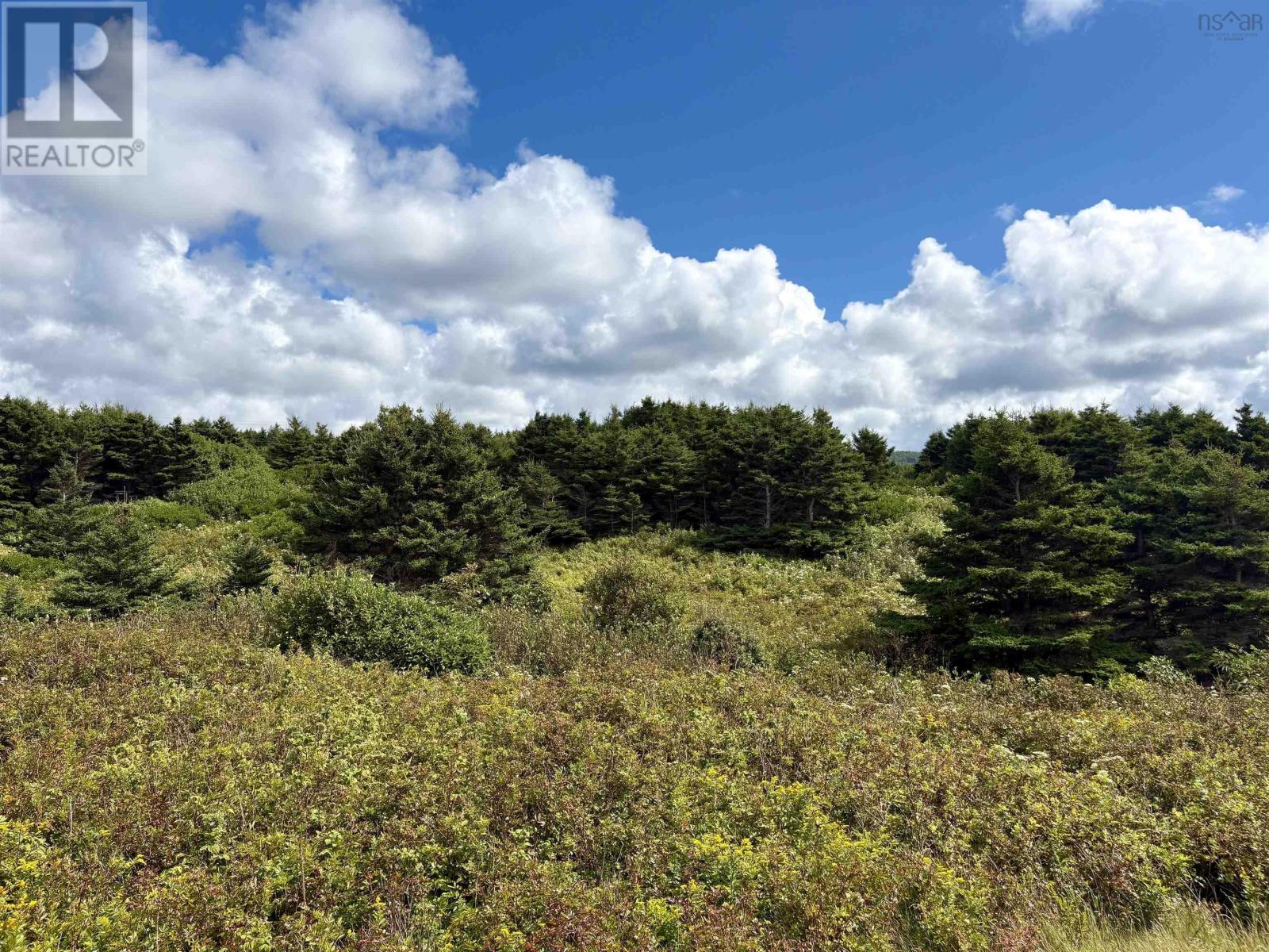 Lot 2 Cabot Trail, Terre Noire, Nova Scotia  B0E 1Y0 - Photo 8 - 202523091