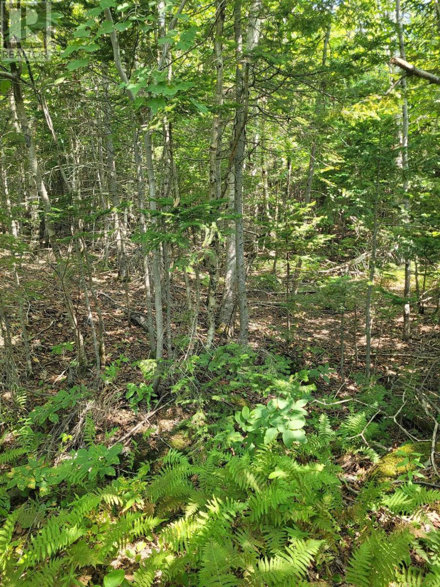 Crandall Road, Crandall Road, Nova Scotia  B9A 1W9 - Photo 10 - 202523269