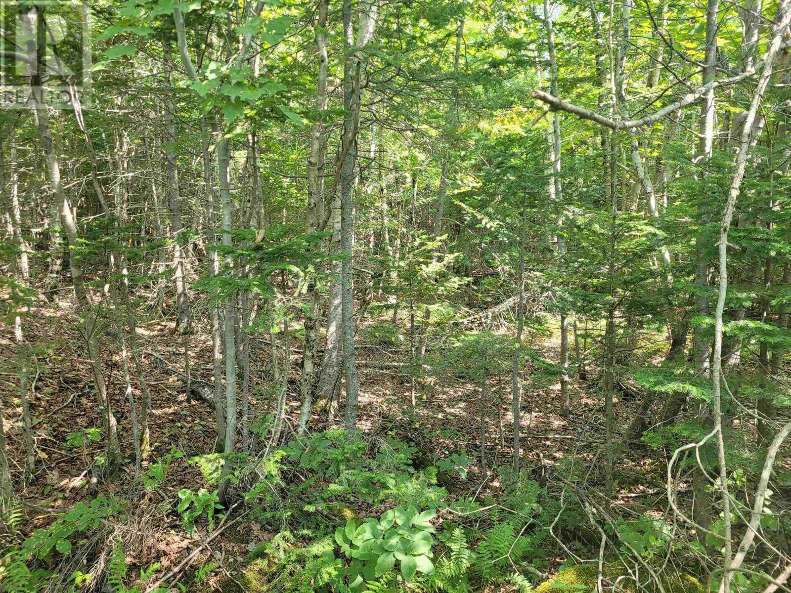 Crandall Road, Crandall Road, Nova Scotia  B9A 1W9 - Photo 4 - 202523269