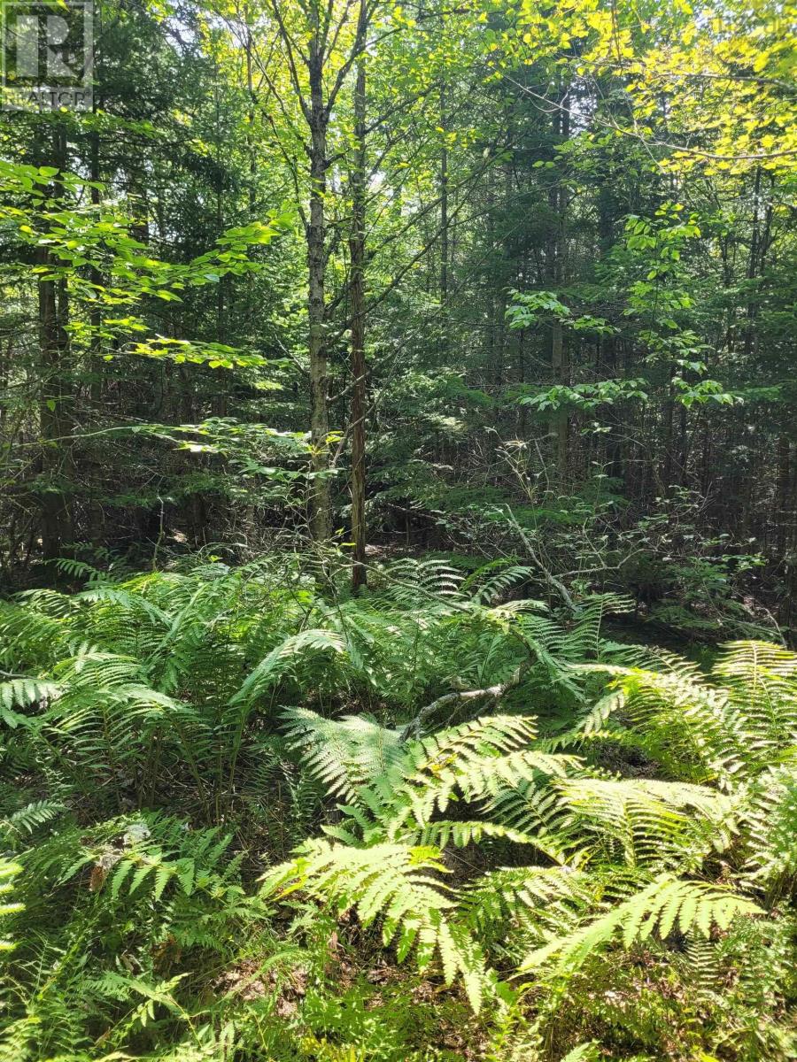 Crandall Road, Crandall Road, Nova Scotia  B9A 1W9 - Photo 7 - 202523269