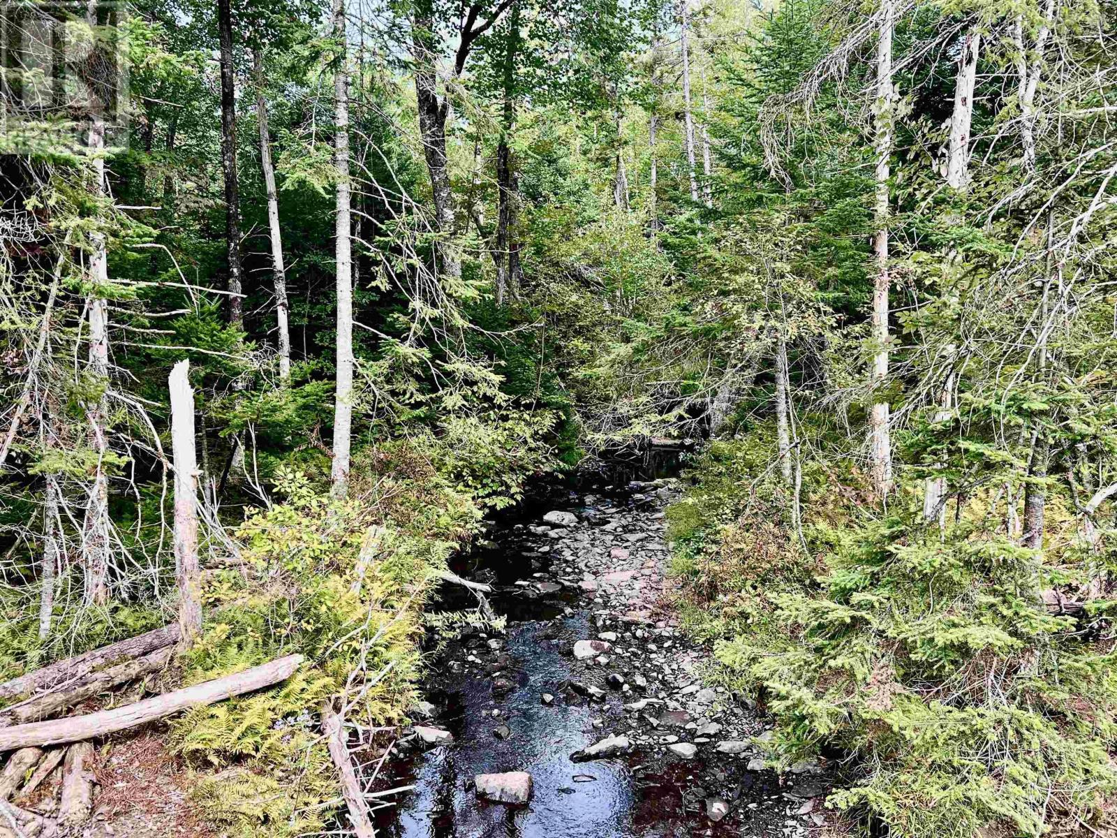 Lot 7 Greenfield Road, Greenfield, Nova Scotia  B0P 1X0 - Photo 8 - 202523290