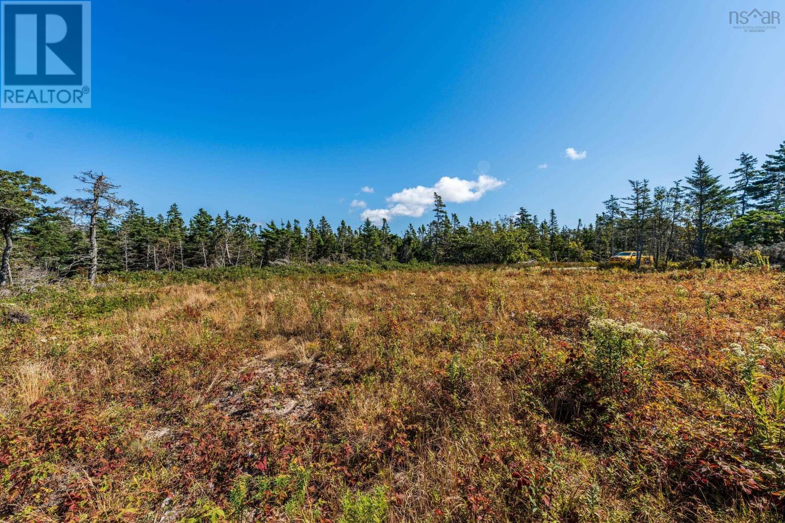 Lot Deveau Shore Road, St. Alphonse, Nova Scotia  B0W 2J0 - Photo 13 - 202523301
