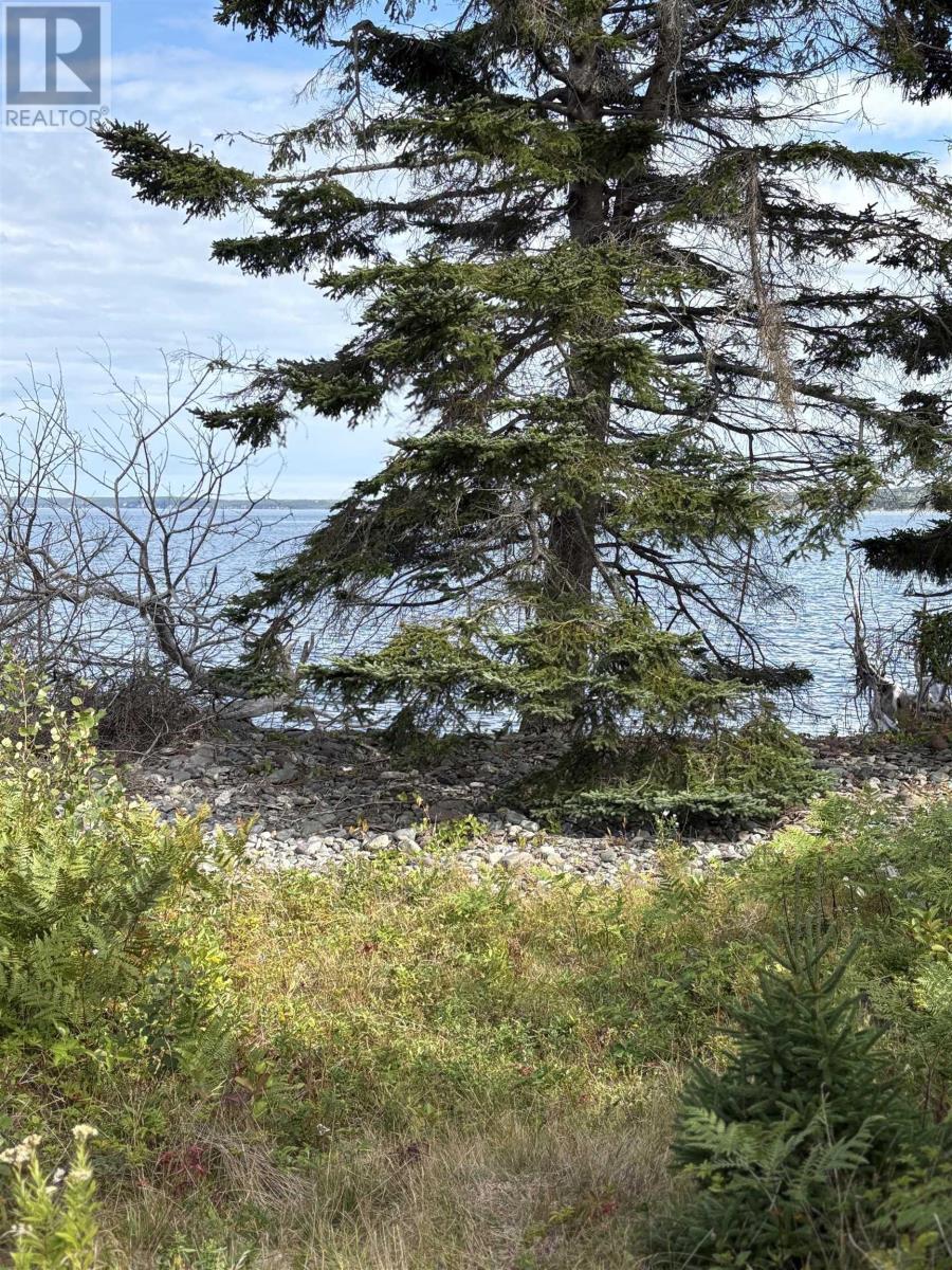 0 Mira Bay Drive, Mira Gut, Nova Scotia  B1K 2X5 - Photo 10 - 202523311