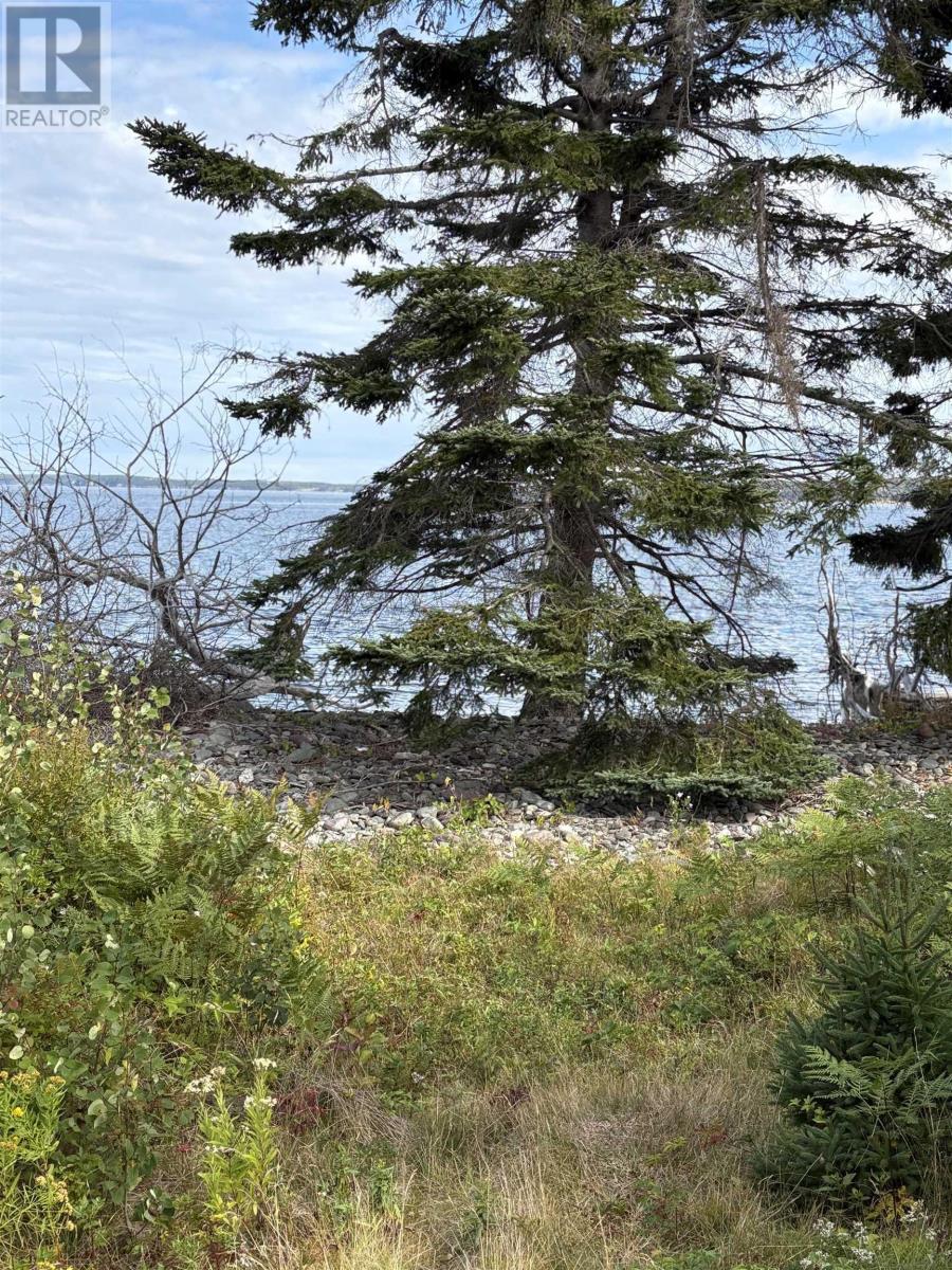 0 Mira Bay Drive, Mira Gut, Nova Scotia  B1K 2X5 - Photo 11 - 202523311