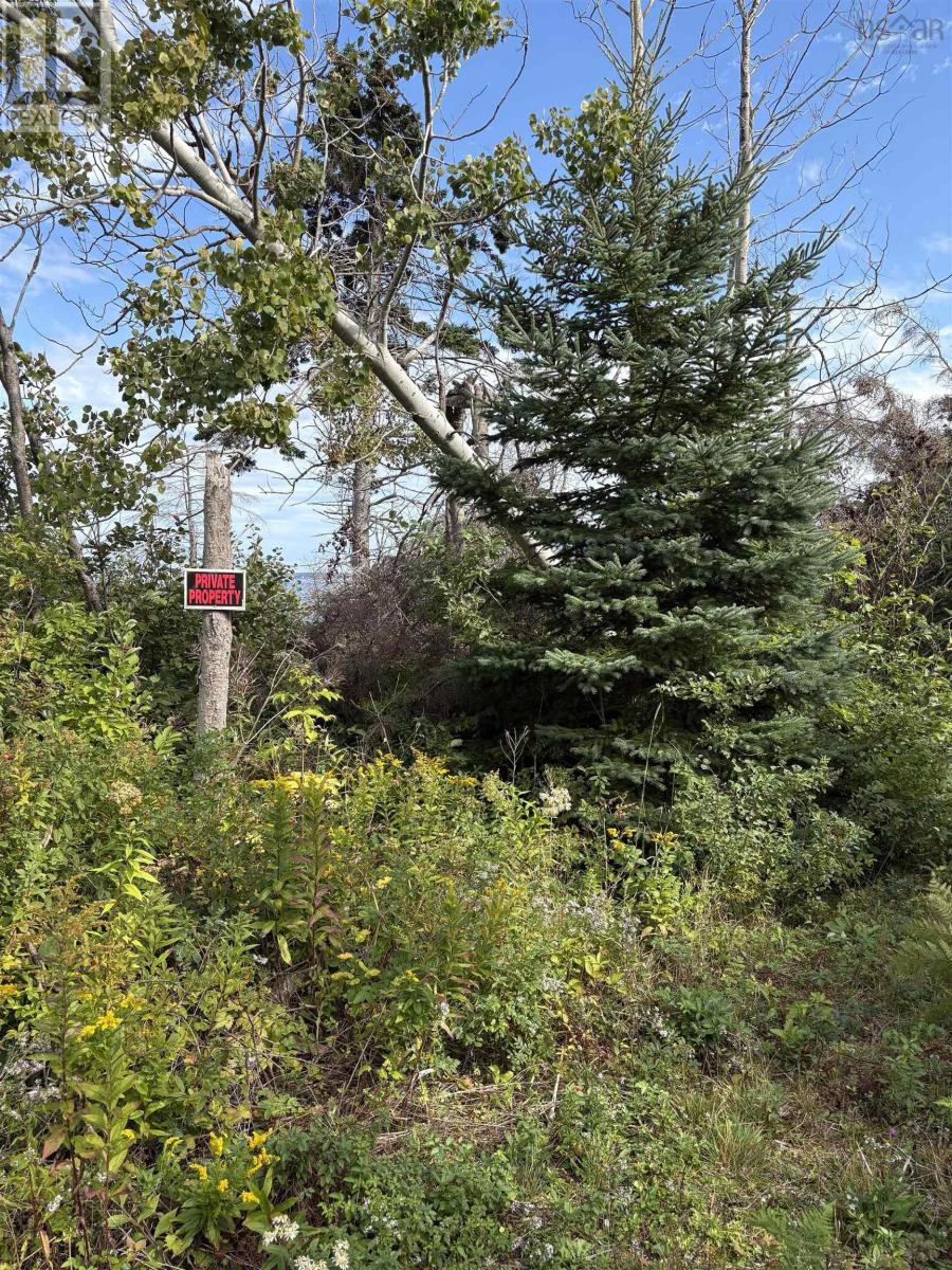 0 Mira Bay Drive, Mira Gut, Nova Scotia  B1K 2X5 - Photo 12 - 202523311