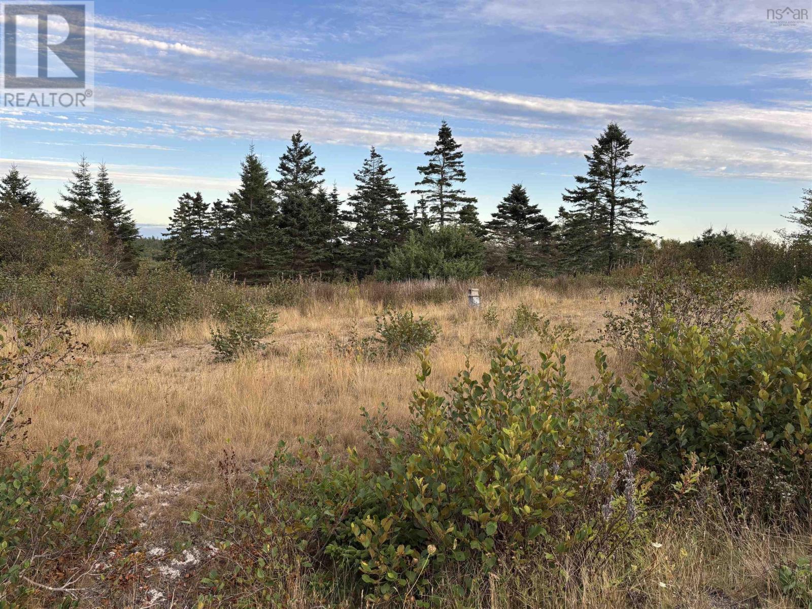 966 Highway 217, Freeport, Nova Scotia  B0V 1G0 - Photo 2 - 202523313