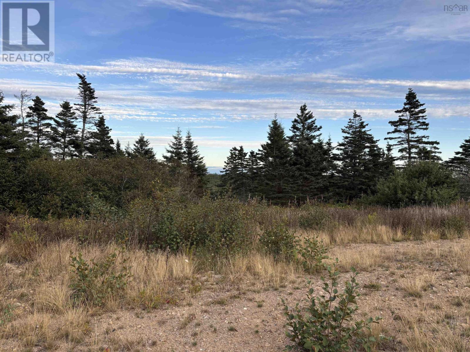 966 Highway 217, Freeport, Nova Scotia  B0V 1G0 - Photo 3 - 202523313