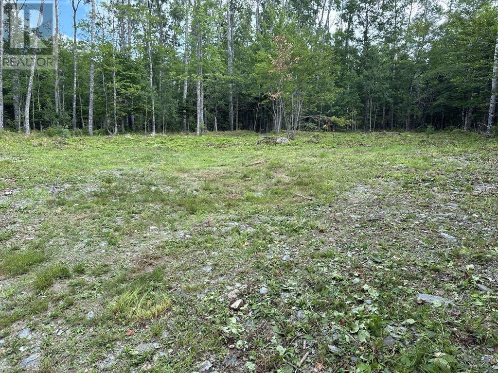 Lot 1-24 Falkenham Road, East Dalhousie, Nova Scotia  B0H 1H0 - Photo 3 - 202523641