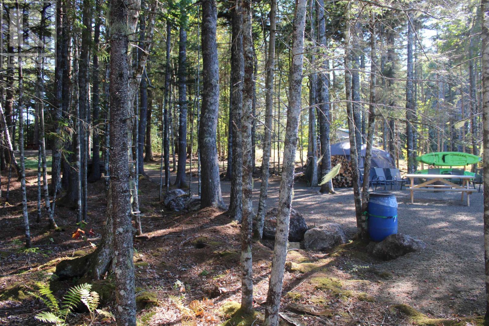 107 South Wrights Lake Road, Weymouth Mills, Nova Scotia  B0W 3T0 - Photo 23 - 202523684