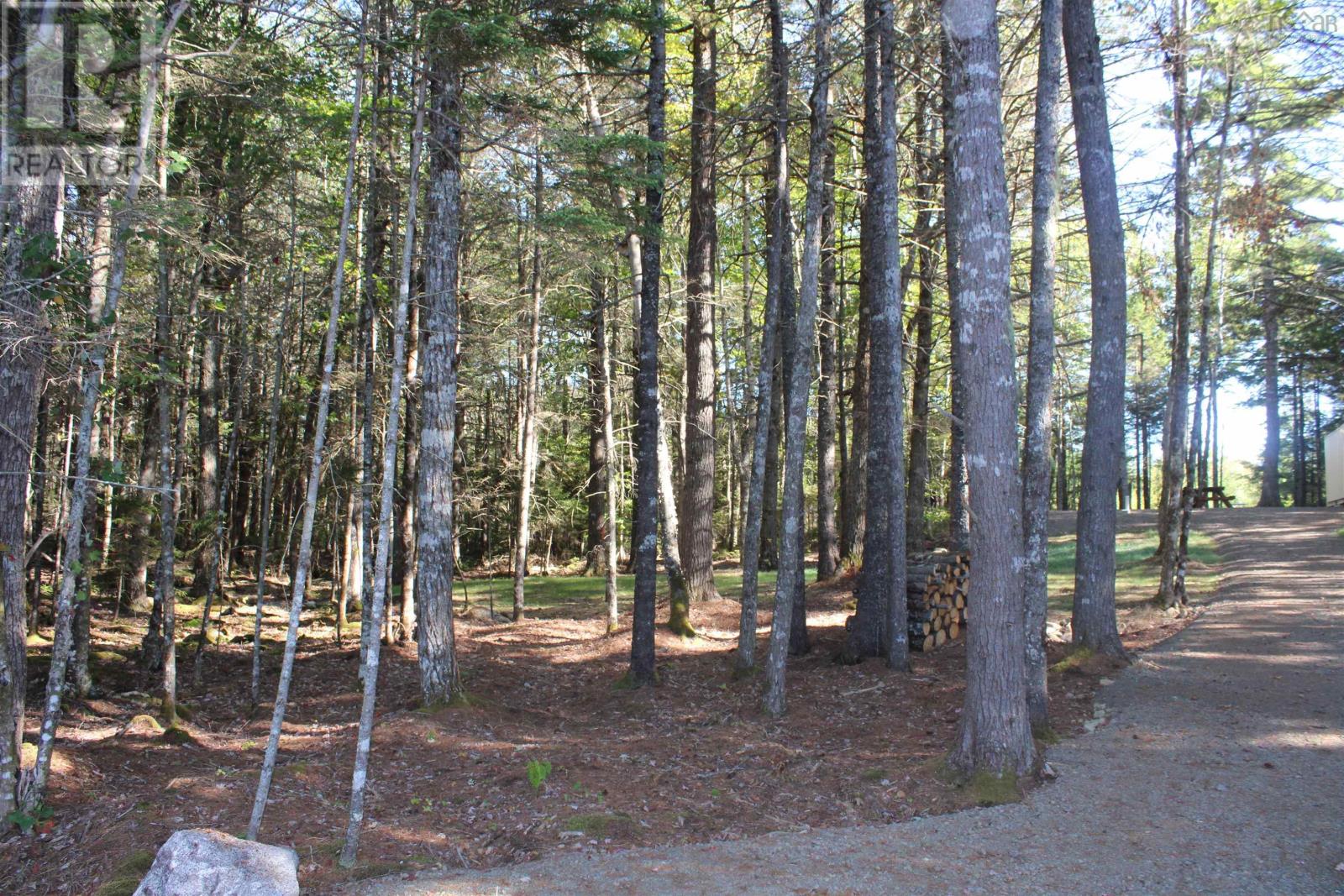 107 South Wrights Lake Road, Weymouth Mills, Nova Scotia  B0W 3T0 - Photo 24 - 202523684