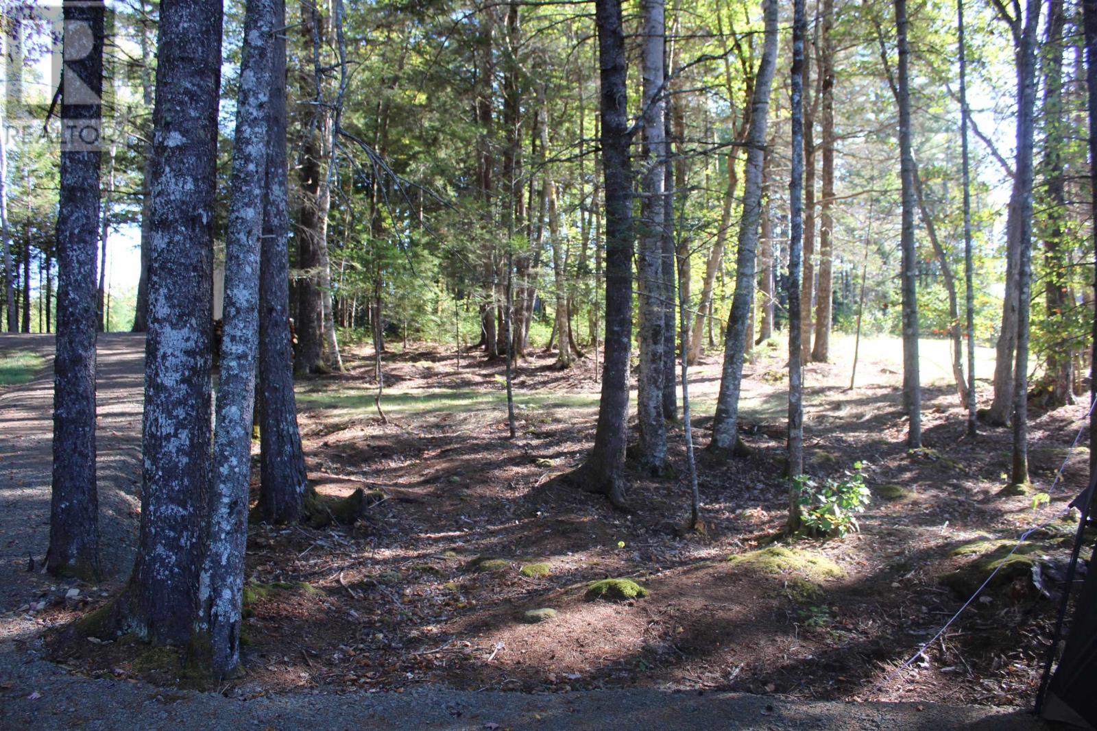 107 South Wrights Lake Road, Weymouth Mills, Nova Scotia  B0W 3T0 - Photo 26 - 202523684