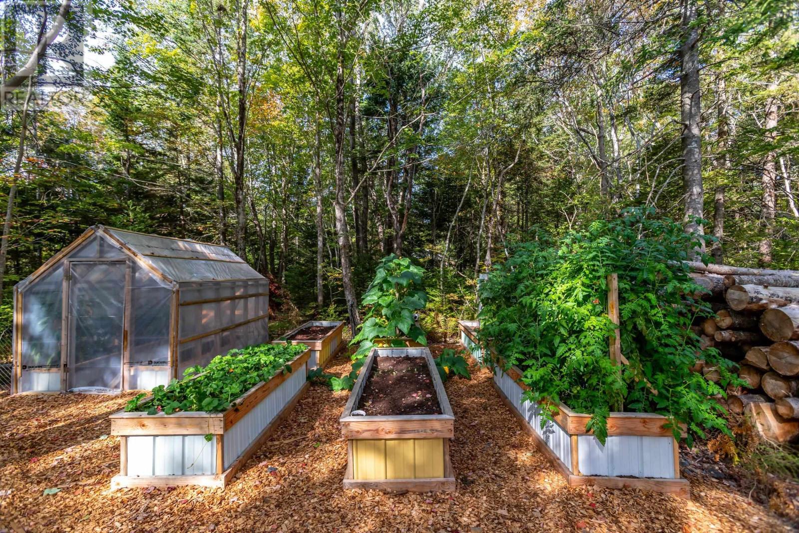 83 Virginia Road, Virginia East, Nova Scotia  B0S 1G0 - Photo 9 - 202523720