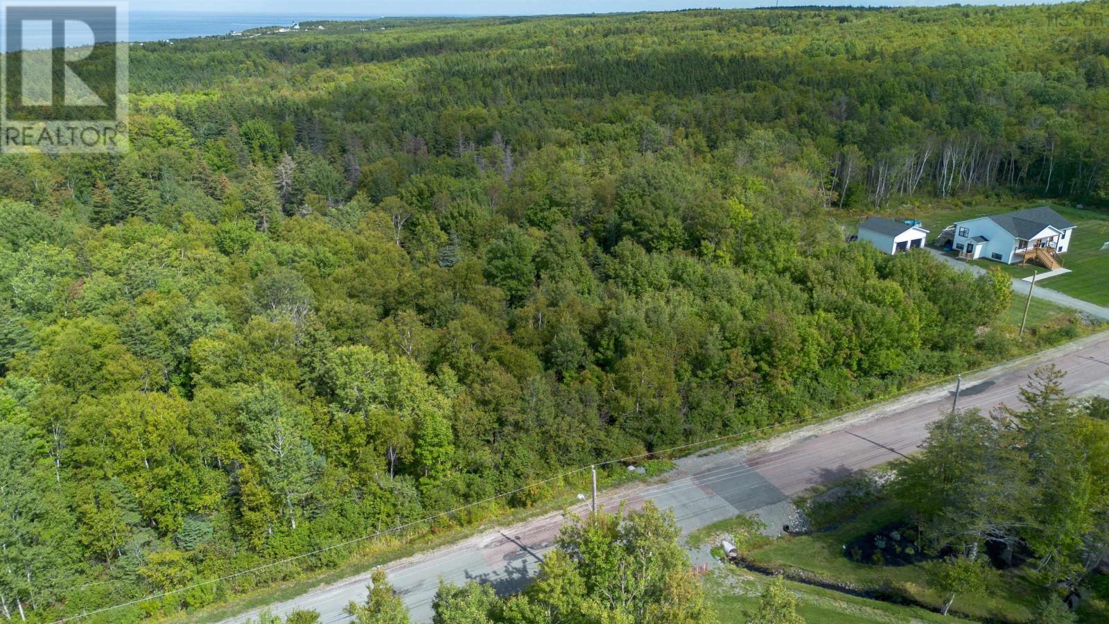 17 Mackesey Drive, Victoria Mines, Nova Scotia  B1N 3J7 - Photo 3 - 202523753