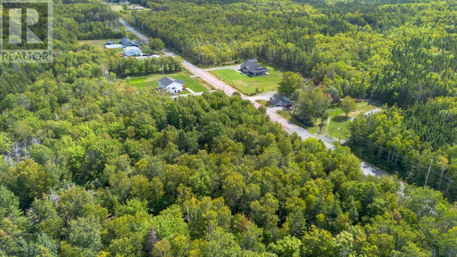 17 Mackesey Drive, Victoria Mines, Nova Scotia  B1N 3J7 - Photo 5 - 202523753