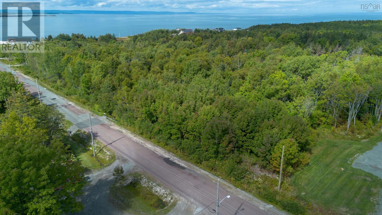 19 Mackesey Drive, Victoria Mines, Nova Scotia  B1N 3J7 - Photo 12 - 202523754