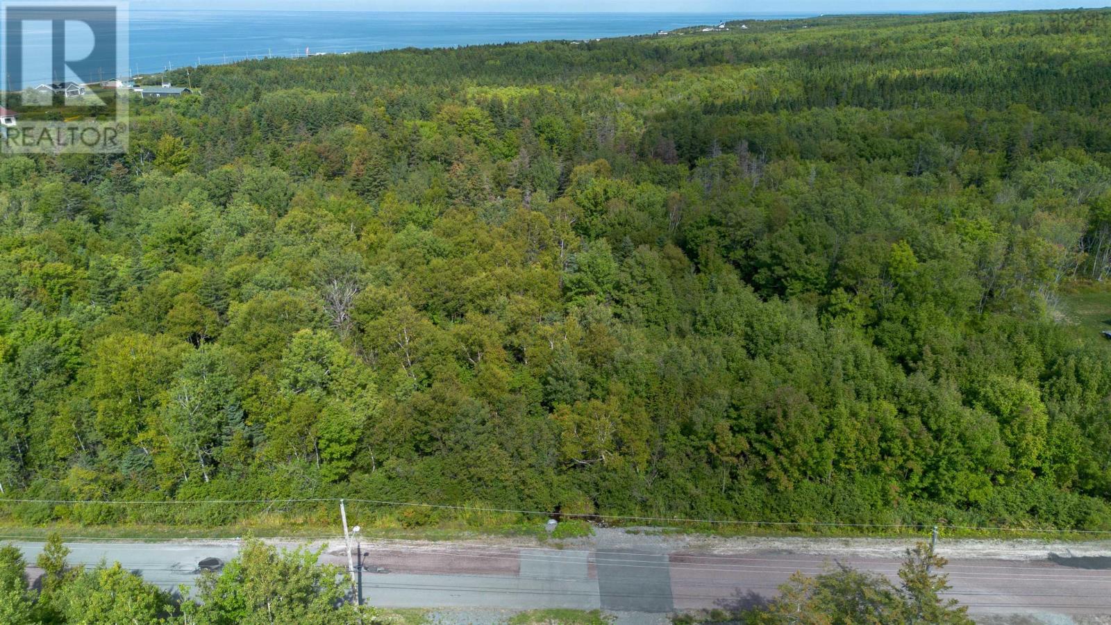 19 Mackesey Drive, Victoria Mines, Nova Scotia  B1N 3J7 - Photo 2 - 202523754