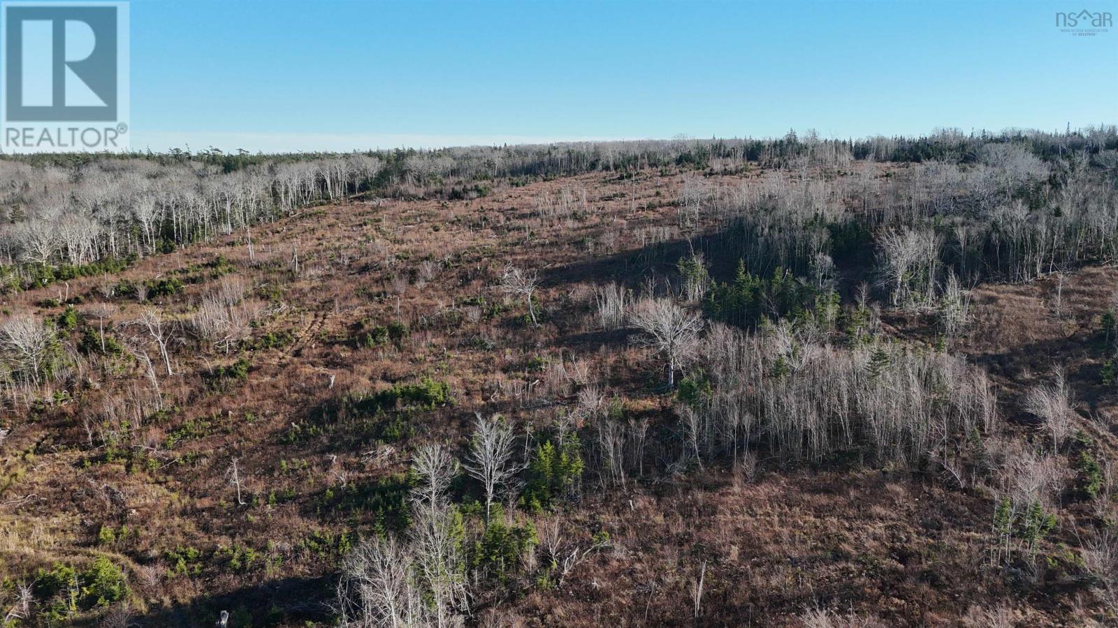 Salmon River Road, Enon, Nova Scotia  B1J 1X6 - Photo 24 - 202523772