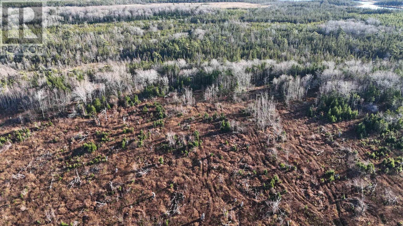 Salmon River Road, Enon, Nova Scotia  B1J 1X4 - Photo 10 - 202523774