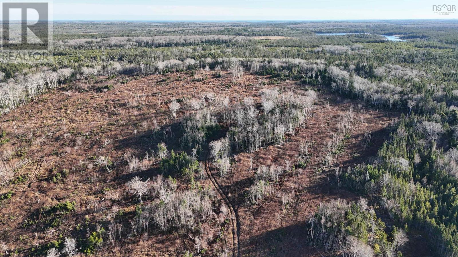 Salmon River Road, Enon, Nova Scotia  B1J 1X4 - Photo 4 - 202523774