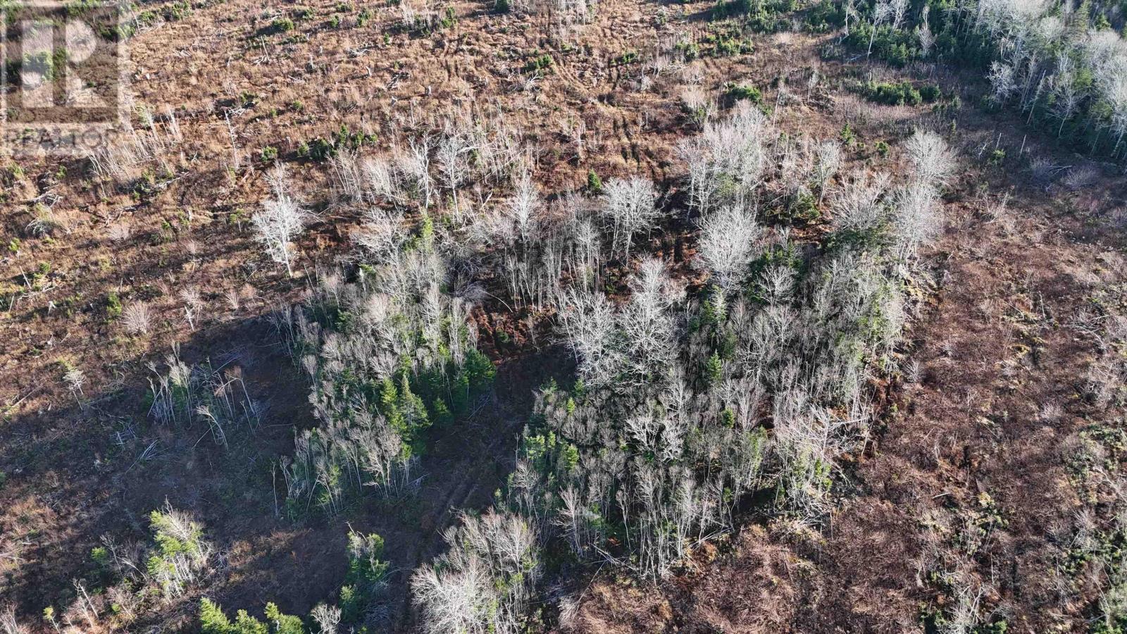 Salmon River Road, Enon, Nova Scotia  B1J 1X4 - Photo 5 - 202523774