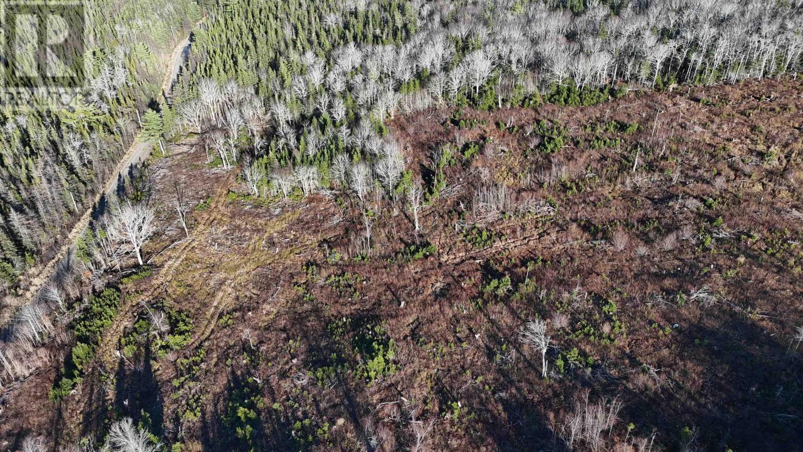 Salmon River Road, Enon, Nova Scotia  B1J 1X4 - Photo 6 - 202523774