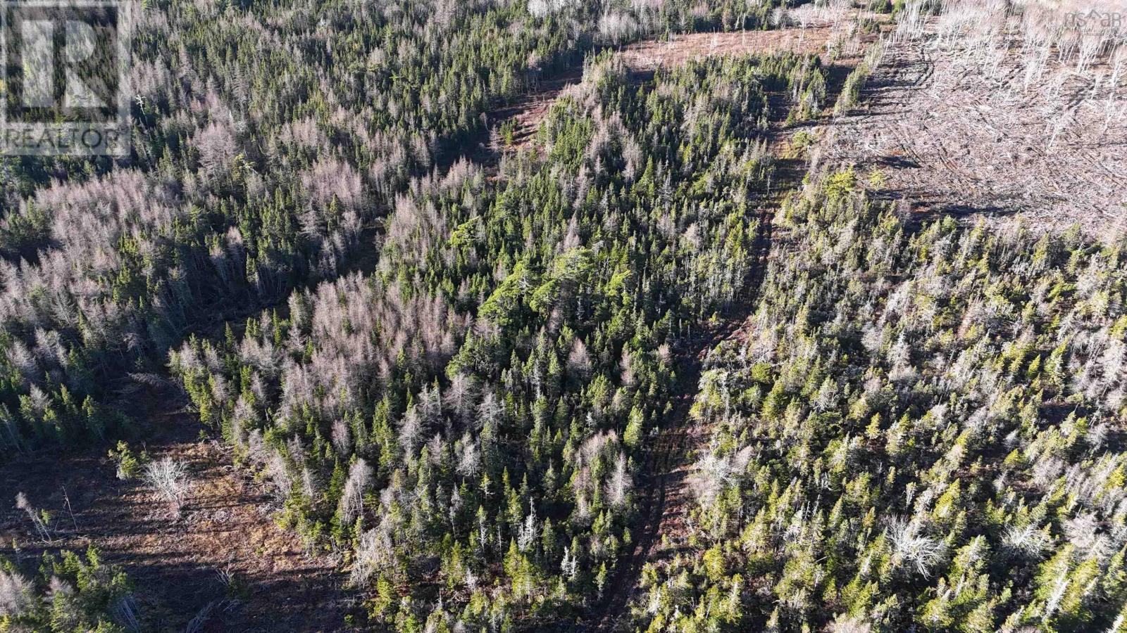 Salmon River Road, Enon, Nova Scotia  B1J 1X4 - Photo 12 - 202523775