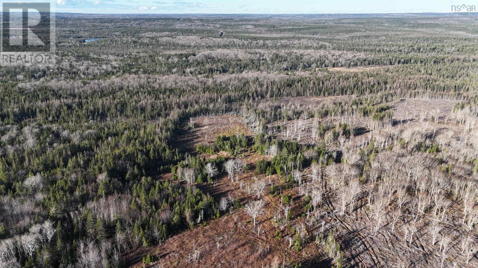 Salmon River Road, Enon, Nova Scotia  B1J 1X4 - Photo 16 - 202523775