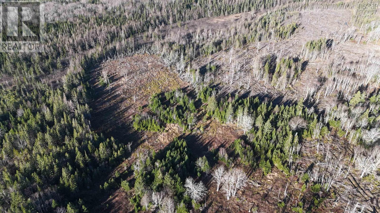Salmon River Road, Enon, Nova Scotia  B1J 1X4 - Photo 18 - 202523775