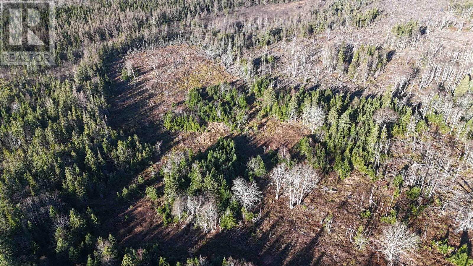 Salmon River Road, Enon, Nova Scotia  B1J 1X4 - Photo 19 - 202523775