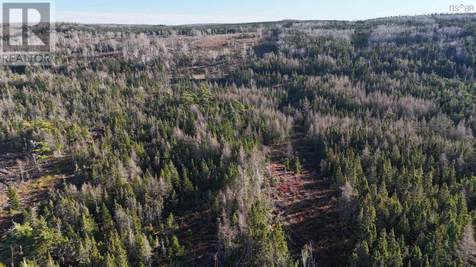 Salmon River Road, Enon, Nova Scotia  B1J 1X4 - Photo 22 - 202523775