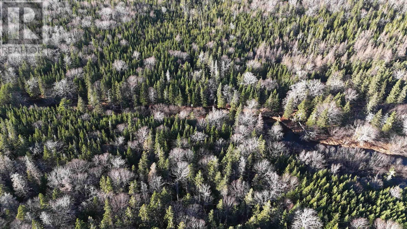 Salmon River Road, Enon, Nova Scotia  B1J 1X4 - Photo 24 - 202523775