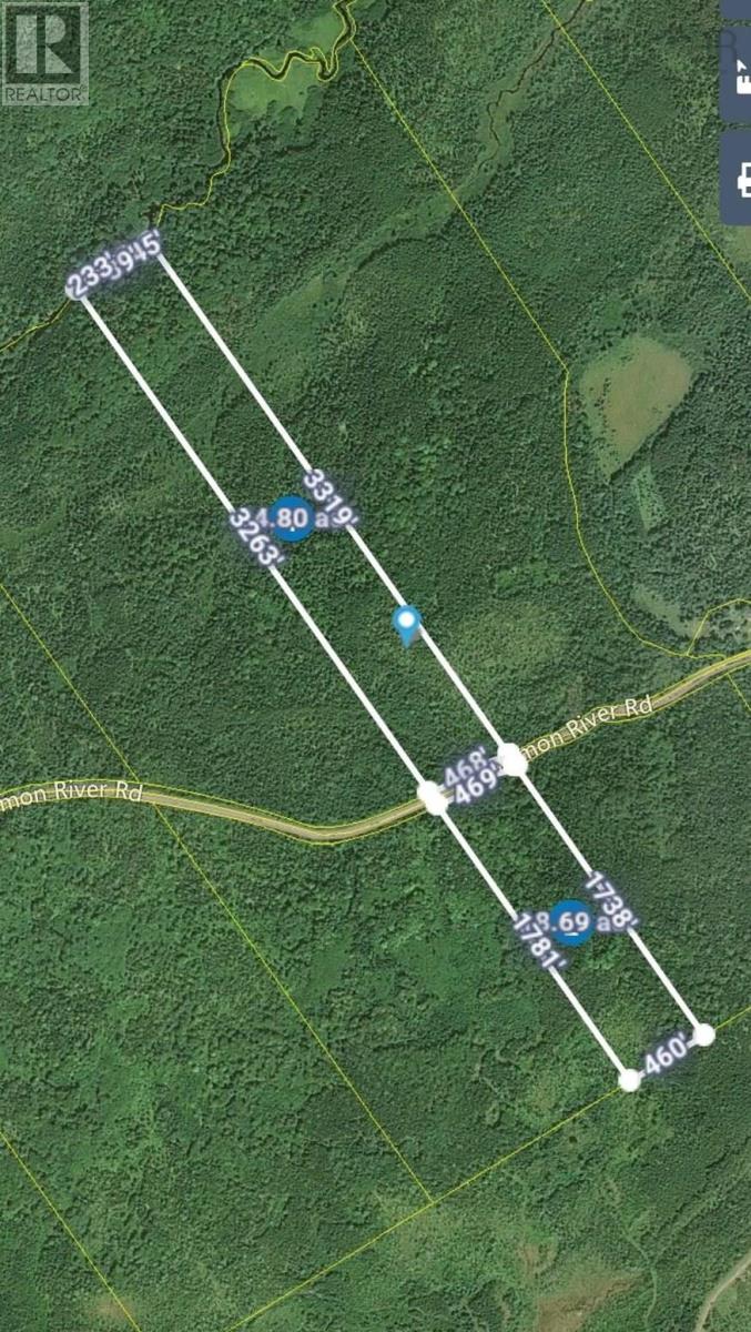 Salmon River Road, Enon, Nova Scotia  B1J 1X4 - Photo 25 - 202523775